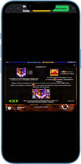 Інформація про гру Wolf Gold