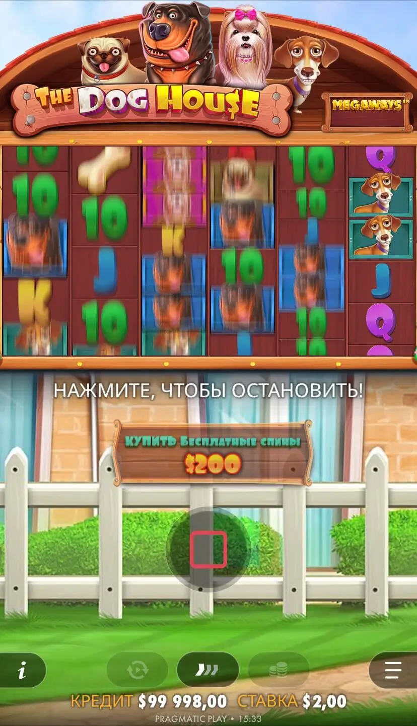 The Dog House Дизайн