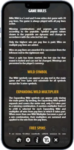 Bilie Wild Правила