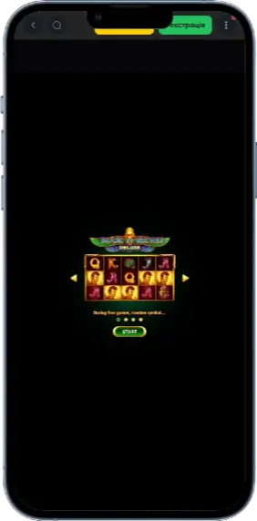 Игра Book of Riches Deluxe