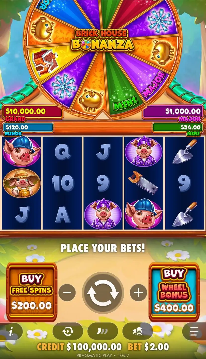 Brick House Bonanza Дизайн