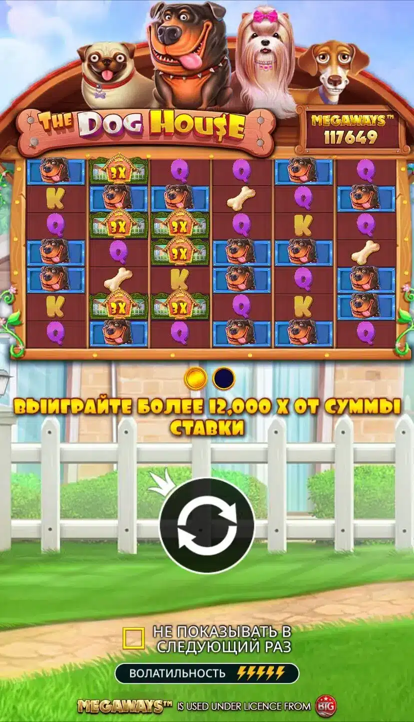 The Dog House Главная