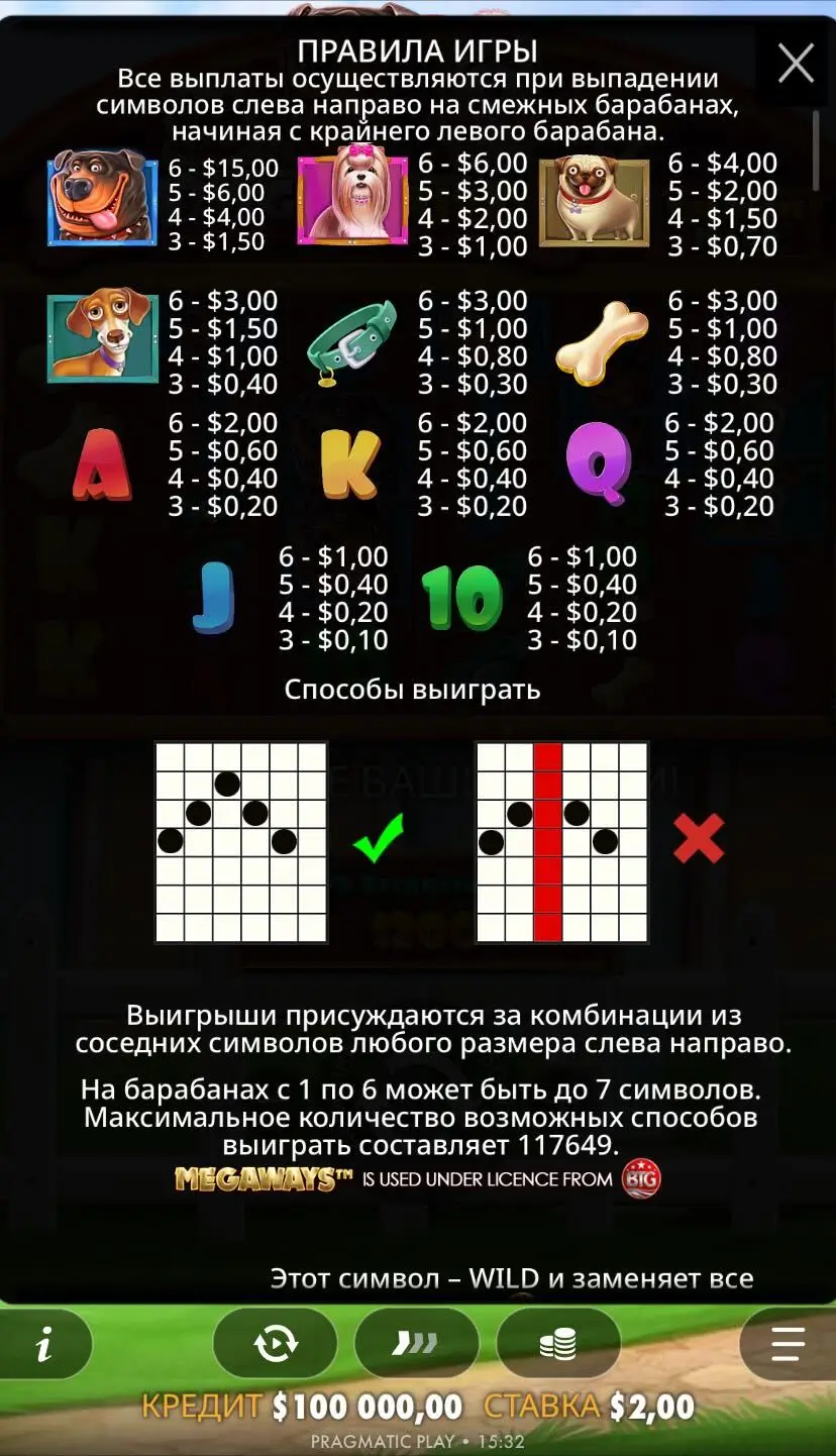 The Dog House Правила