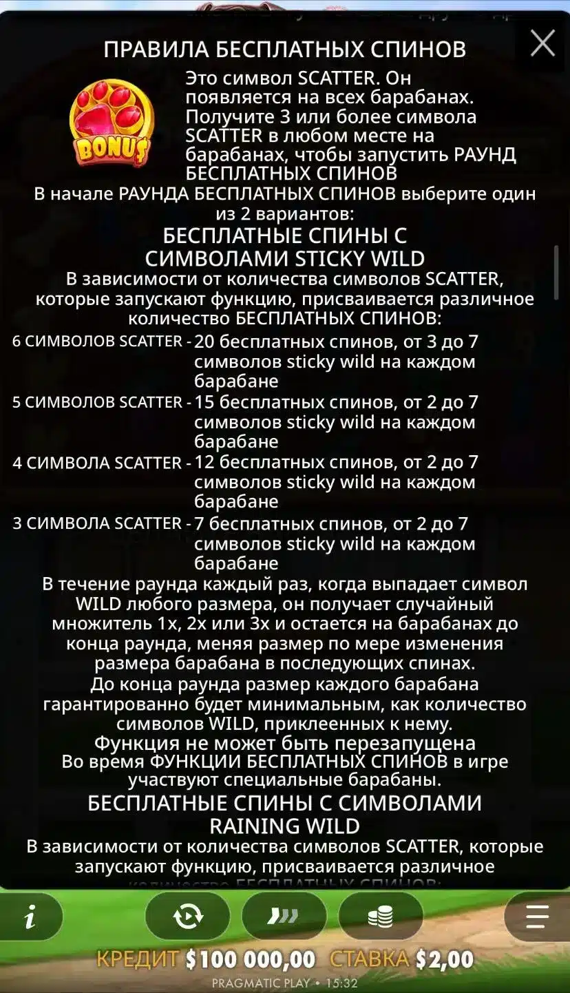 The Dog House Спины